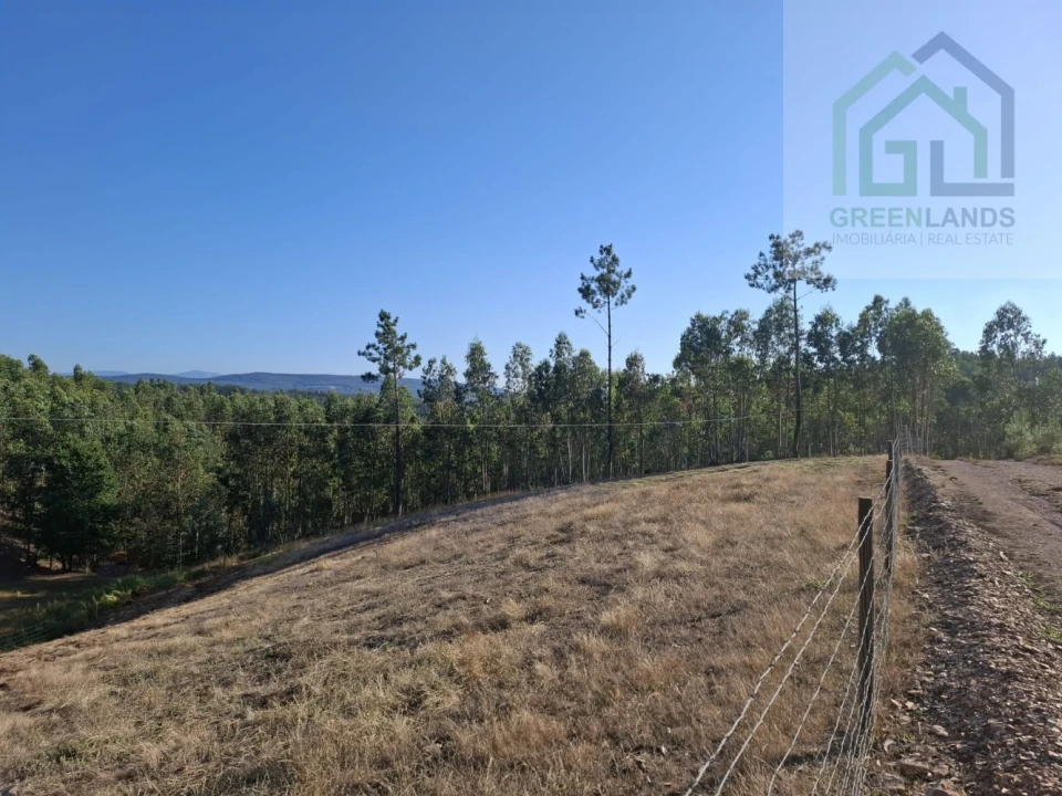 Quinta T0 para Venda em São Martinho da Cortiça Foto 21