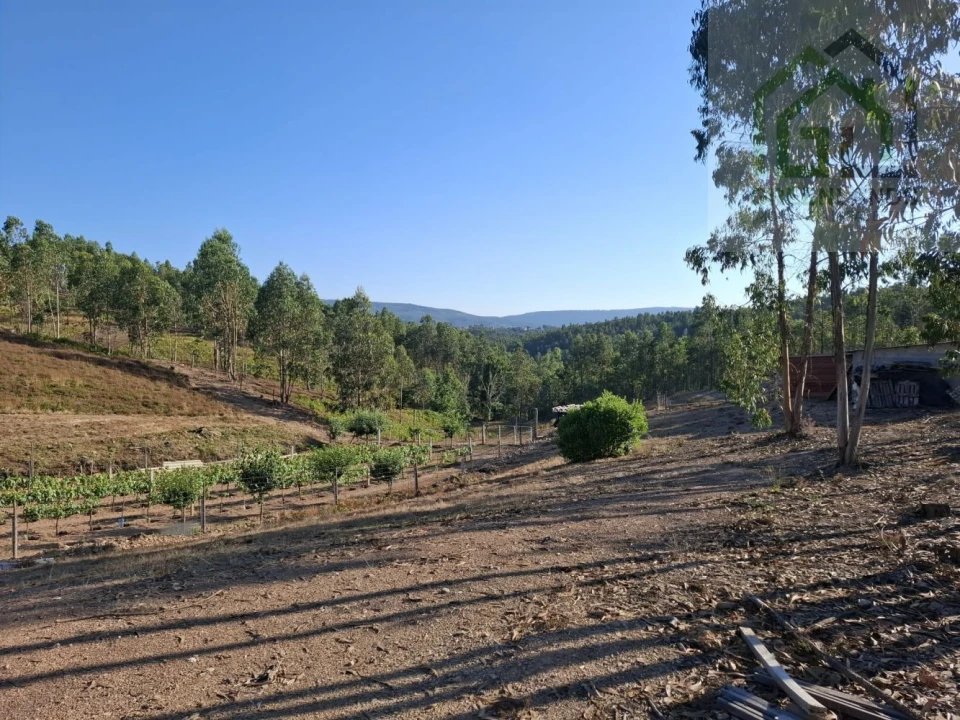 Quinta T0 para Venda em São Martinho da Cortiça Foto 10