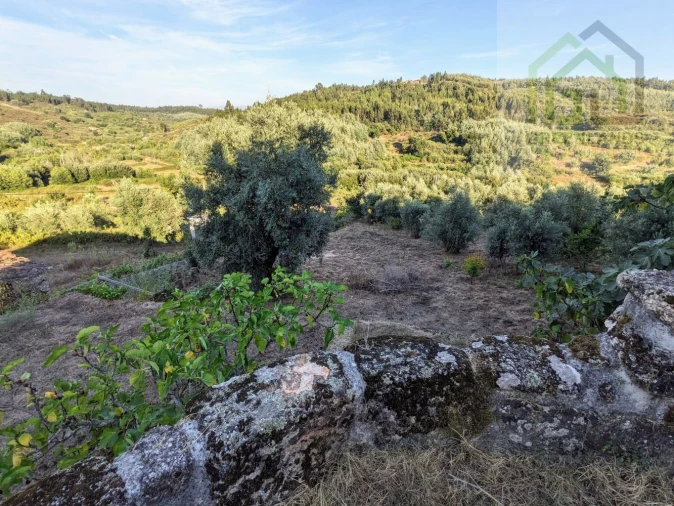 Moradia T2 para Venda em Candosa Foto 17