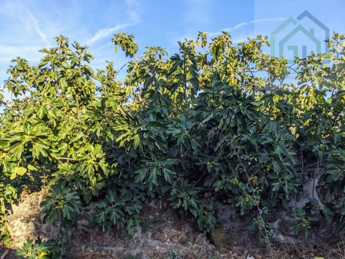 Moradia T2 para Venda em Candosa Foto 16