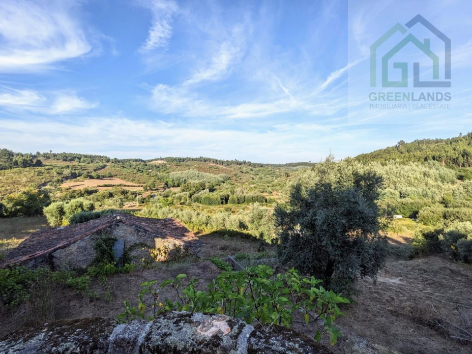 Moradia T2 para Venda em Candosa Foto 18