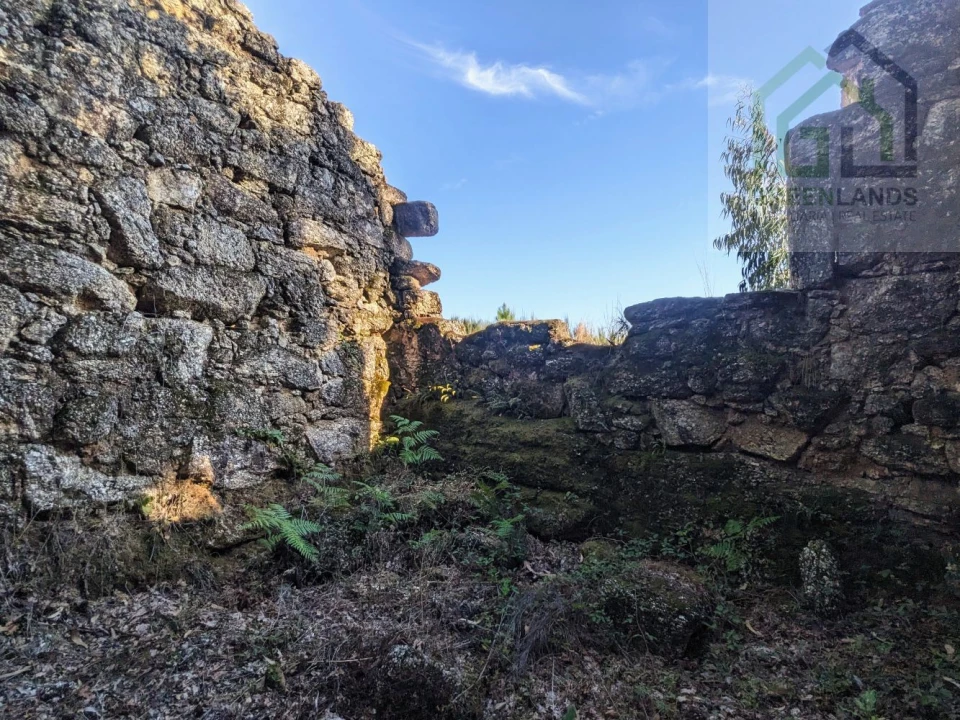 Moradia T0 para Venda em Candosa Foto 11