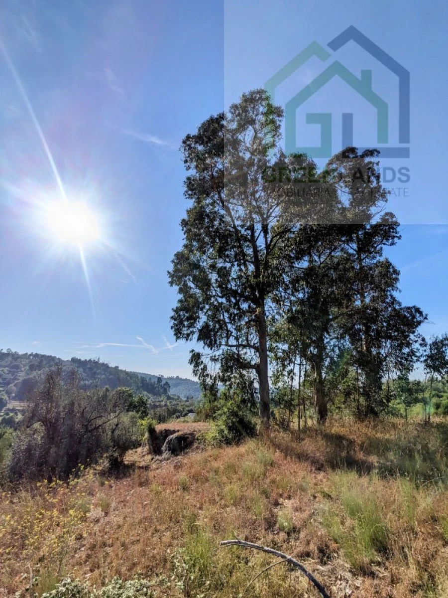 Moradia T0 para Venda em Candosa Foto 19