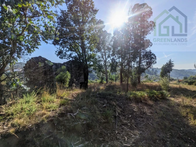 Moradia T0 para Venda em Candosa Foto 14