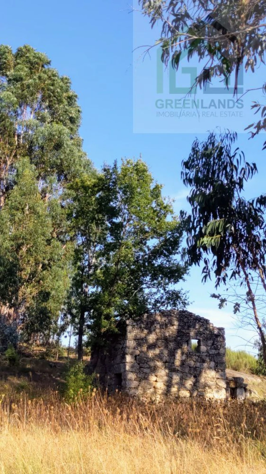 Moradia T0 para Venda em Candosa Foto 5