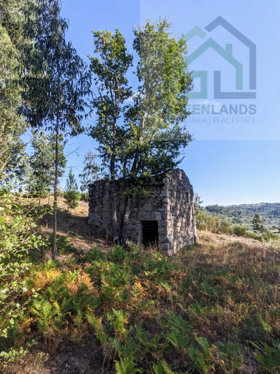 Moradia T0 para Venda em Candosa Foto 12