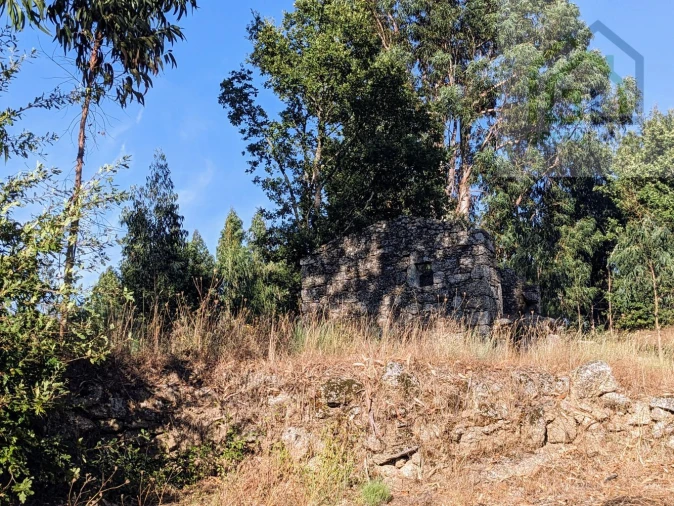 Moradia T0 para Venda em Candosa Foto 6