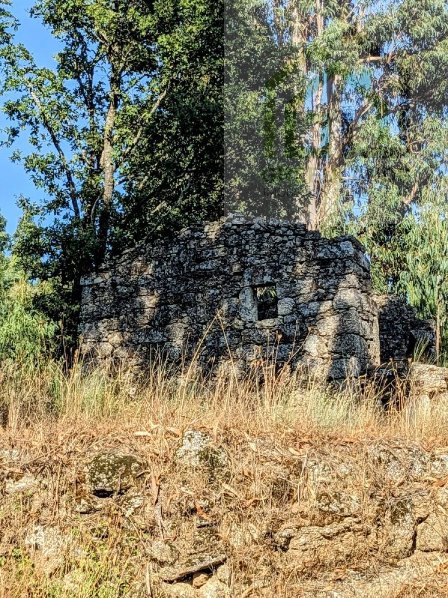 Moradia T0 para Venda em Candosa Foto 18