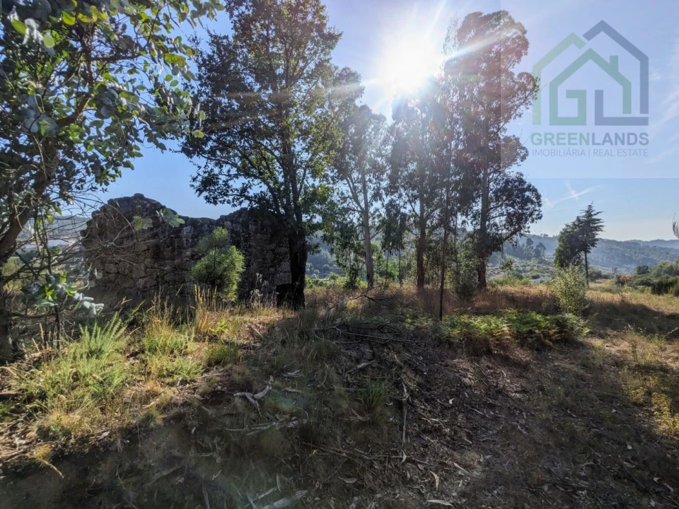 Moradia T0 para Venda em Candosa Foto 14