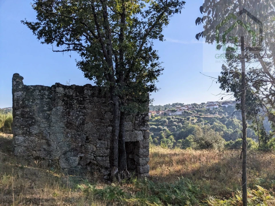 Moradia T0 para Venda em Candosa Foto 1