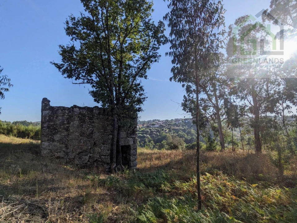 Moradia T0 para Venda em Candosa Foto 2