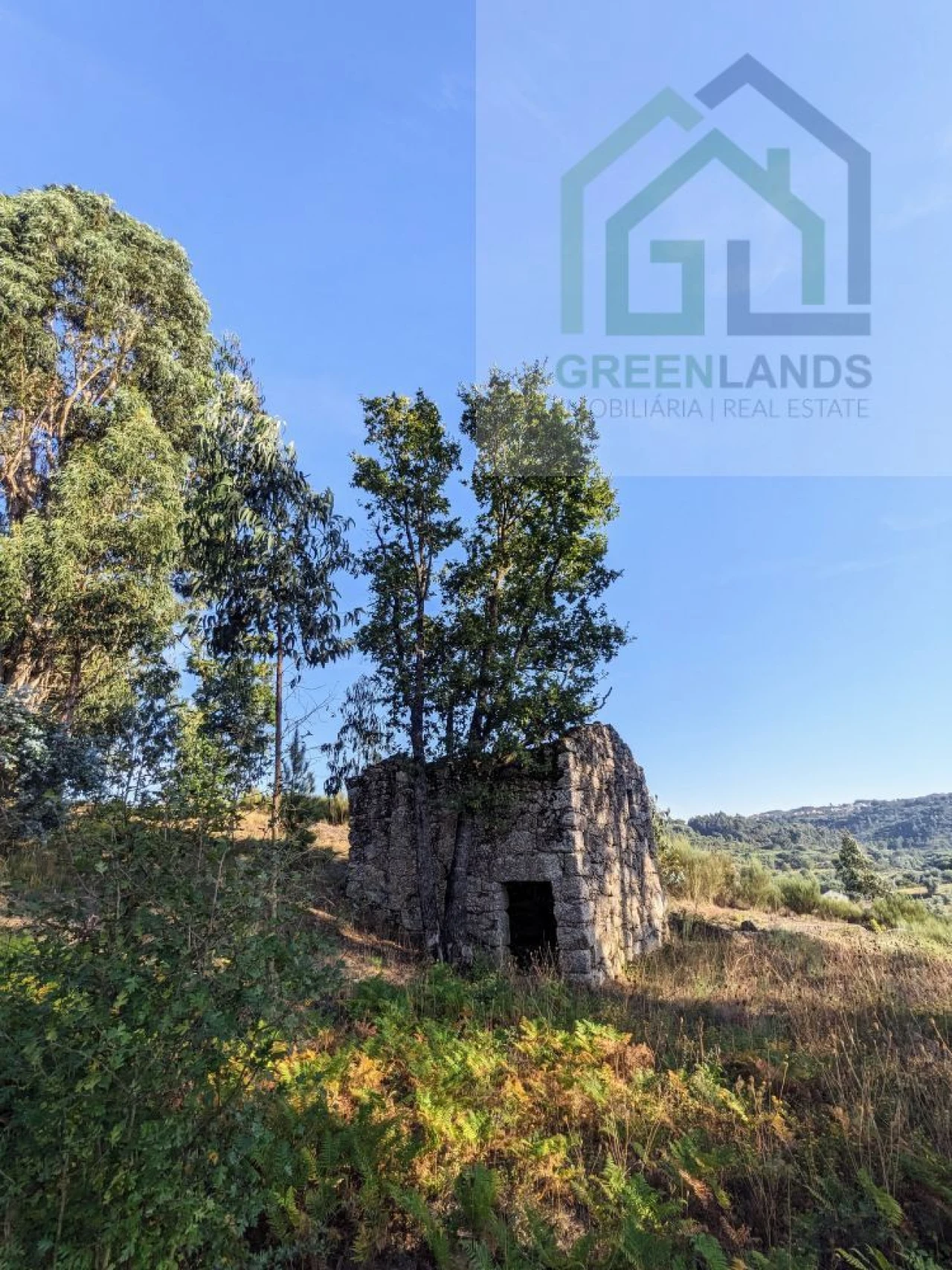 Moradia T0 para Venda em Candosa Foto 3