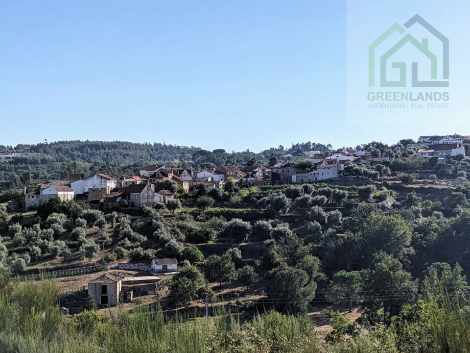 Moradia T0 para Venda em Candosa Foto 7