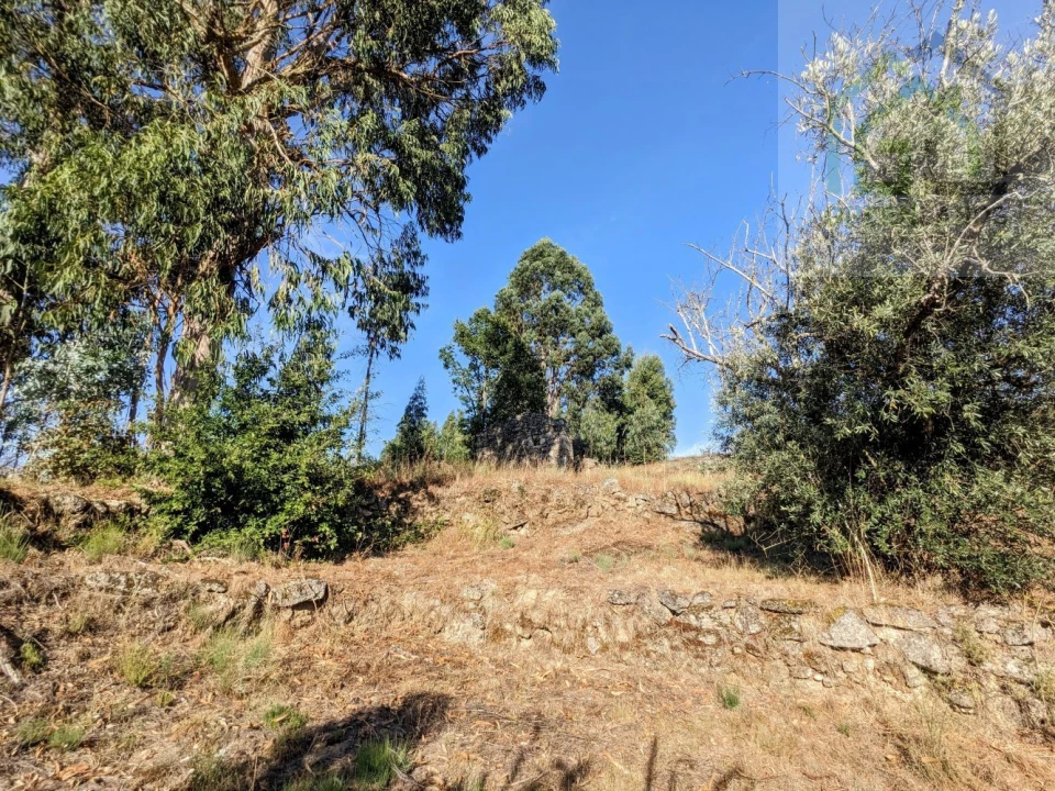 Moradia T0 para Venda em Candosa Foto 17