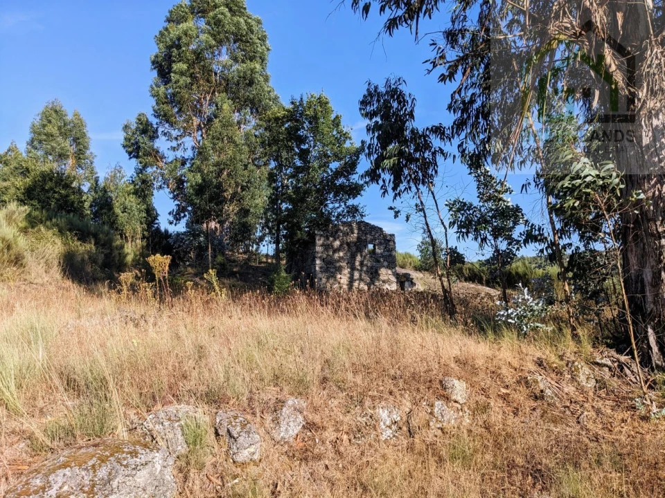 Moradia T0 para Venda em Candosa Foto 4