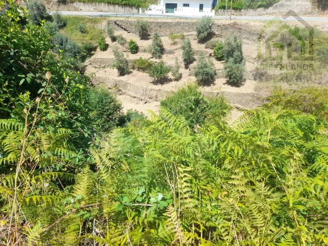 Moradia T5 para Venda em Benfeita Foto 28