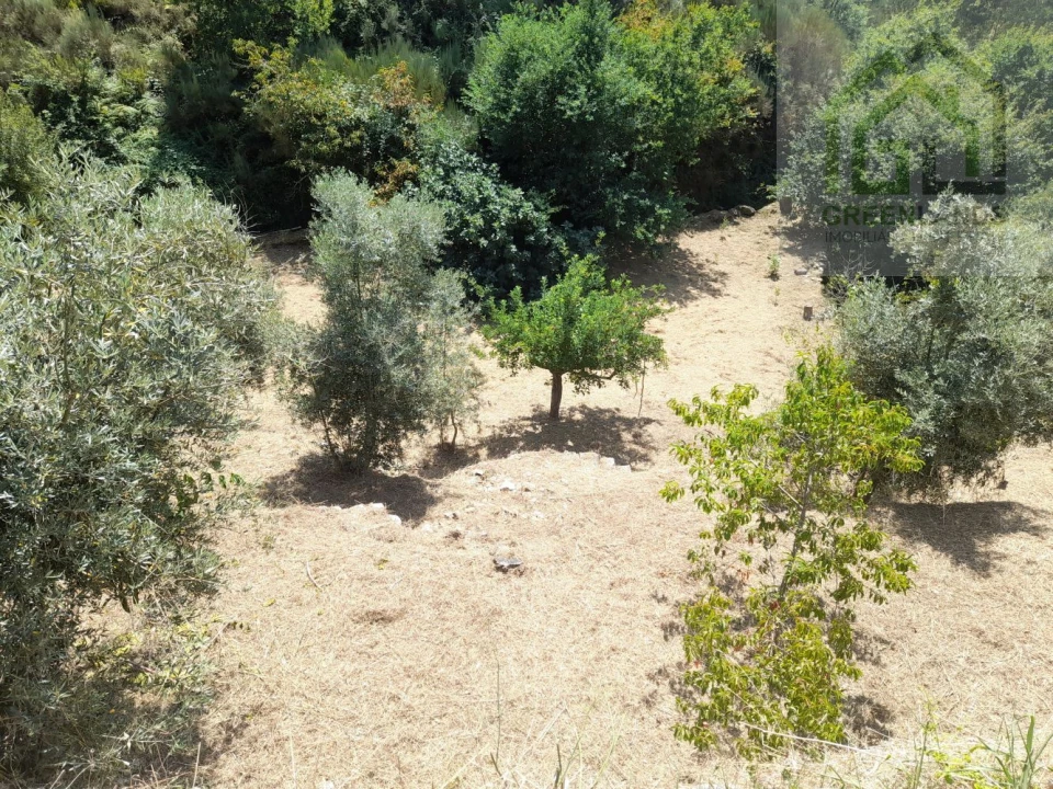 Moradia T5 para Venda em Benfeita Foto 29