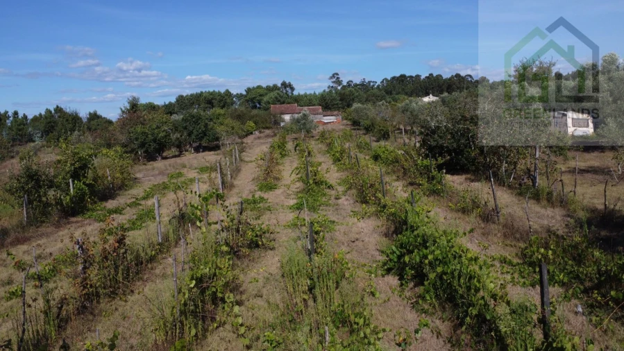 Moradia T2 para Venda em Povoa de Midões