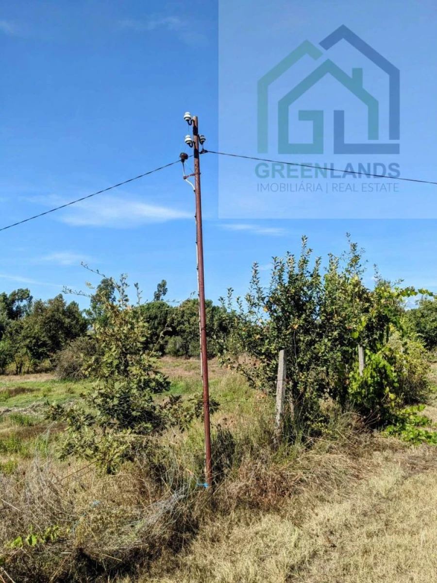 Moradia T2 para Venda em Povoa de Midões Foto 15