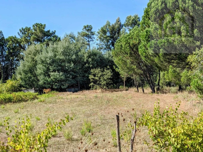 Moradia T2 para Venda em Povoa de Midões Foto 29