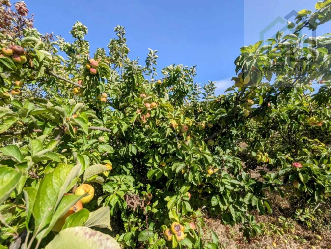 Moradia T2 para Venda em Povoa de Midões Foto 22