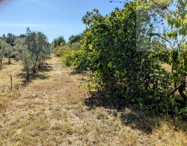 Moradia T2 para Venda em Povoa de Midões Foto 23