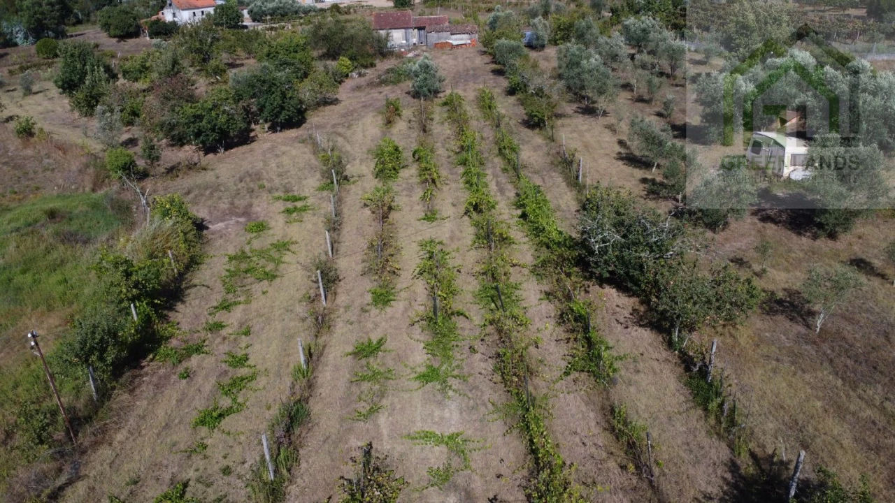 Moradia T2 para Venda em Povoa de Midões Foto 16