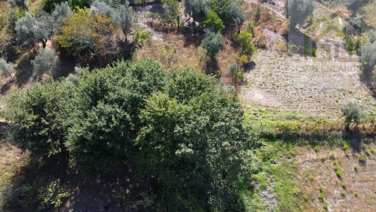 Moradia T2 para Venda em Povoa de Midões Foto 21