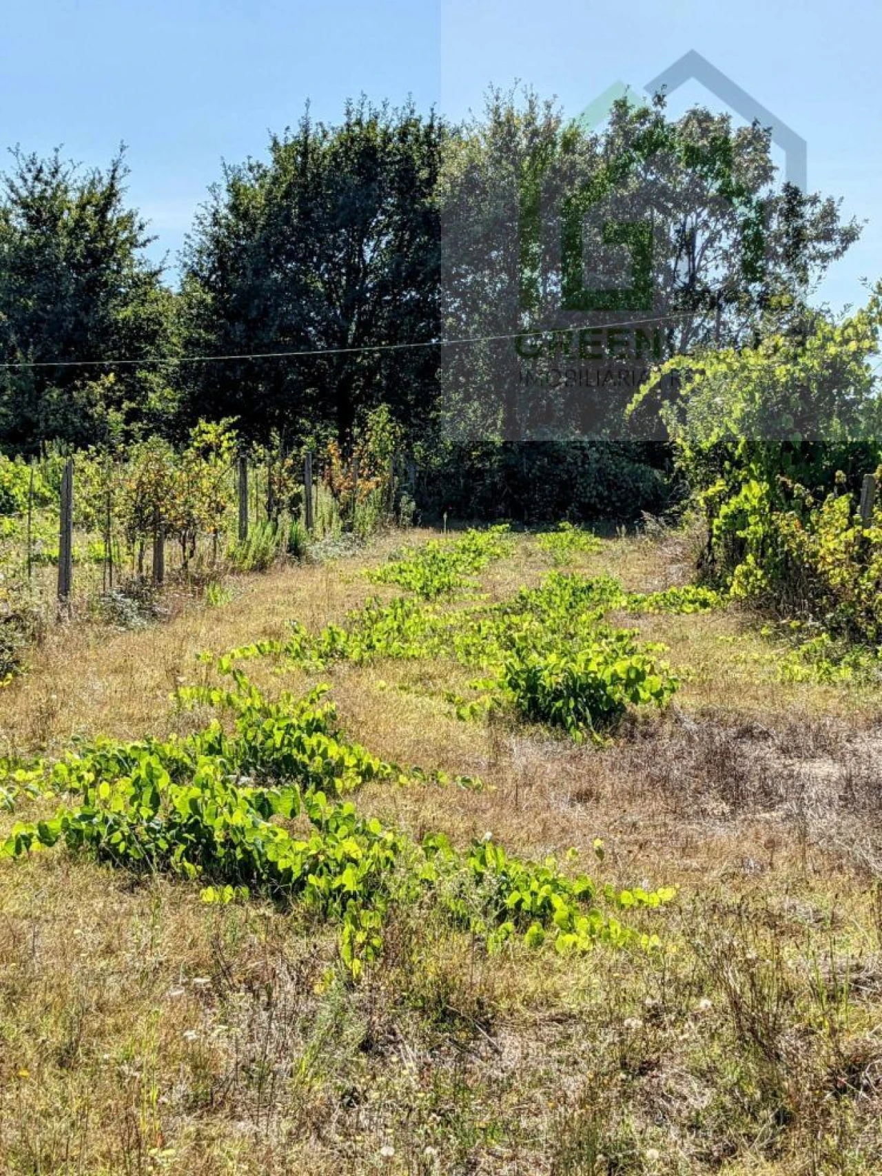 Moradia T2 para Venda em Povoa de Midões Foto 28