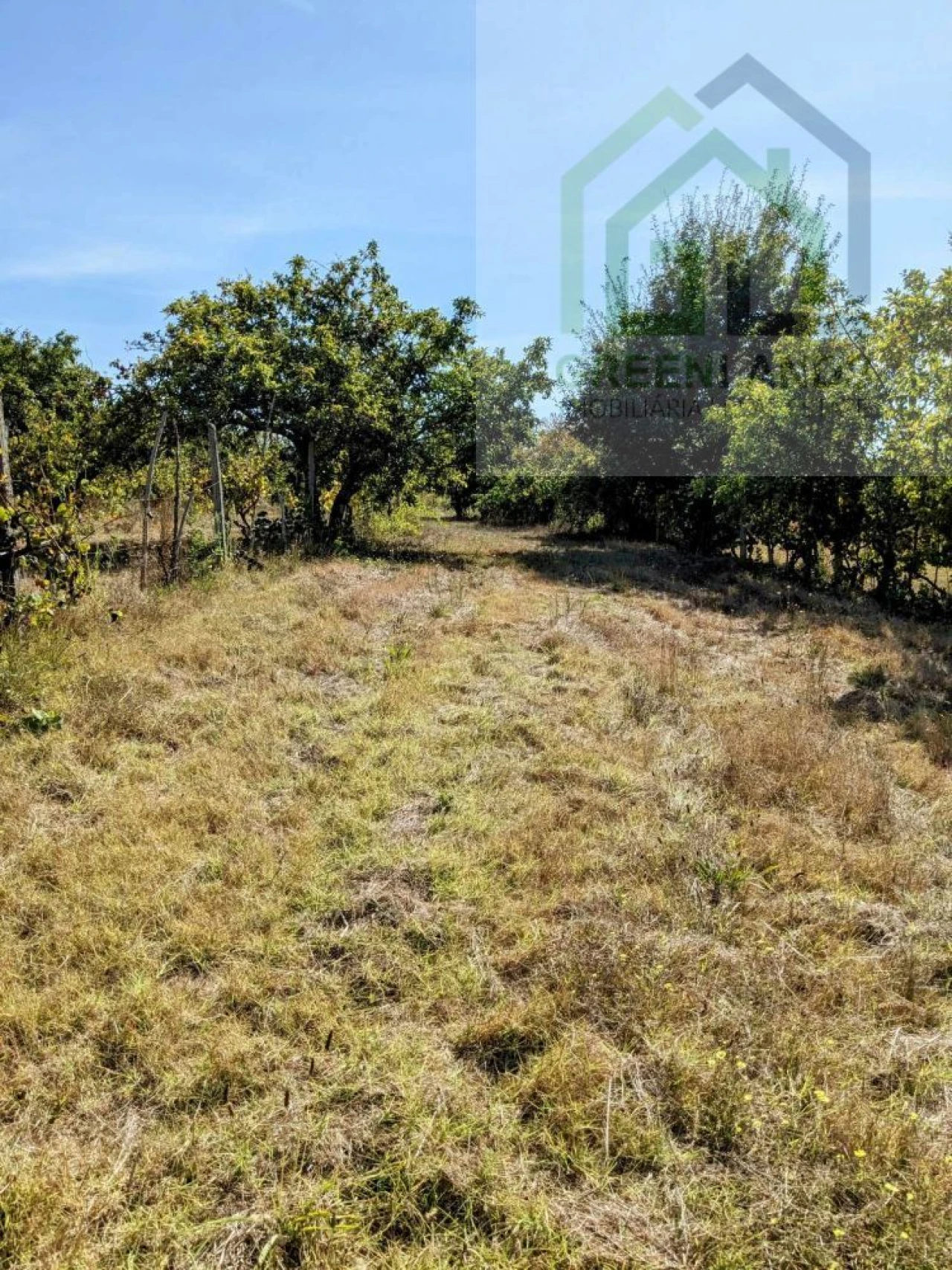 Moradia T2 para Venda em Povoa de Midões Foto 25