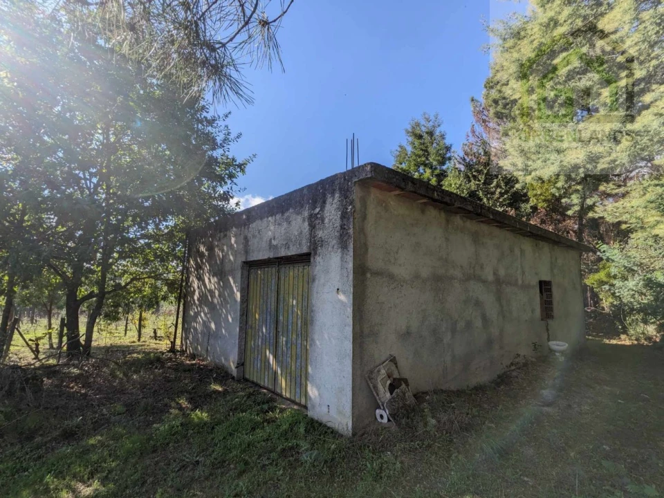 Terreno para Venda em Povoa de Midões Foto 1