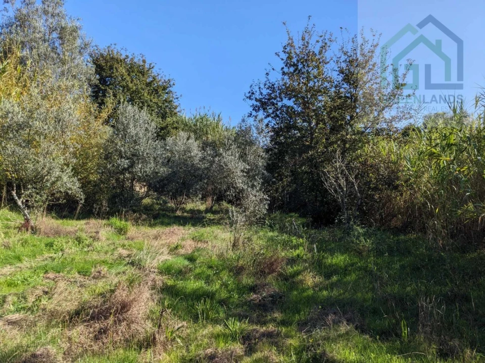 Terreno para Venda em Povoa de Midões Foto 4