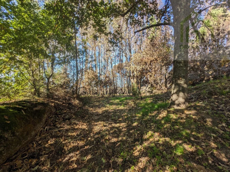 Terreno para Venda em Povoa de Midões Foto 21