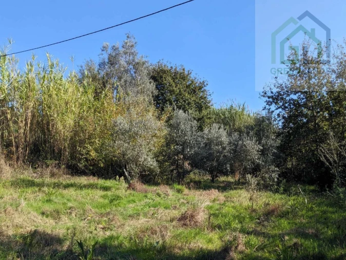 Terreno para Venda em Povoa de Midões Foto 24