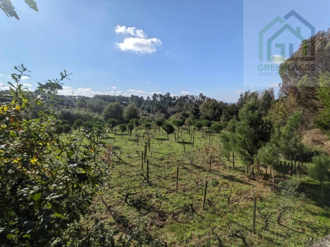 Terreno para Venda em Povoa de Midões Foto 16