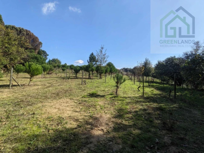 Terreno para Venda em Povoa de Midões Foto 18