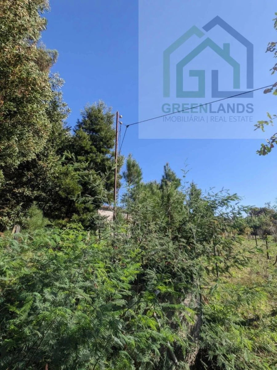Terreno para Venda em Povoa de Midões Foto 15