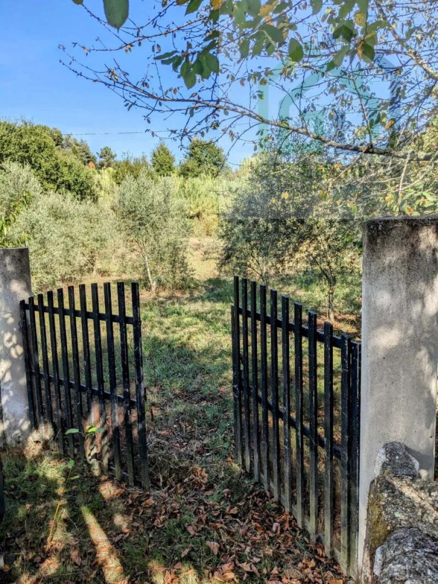 Terreno para Venda em Povoa de Midões Foto 2