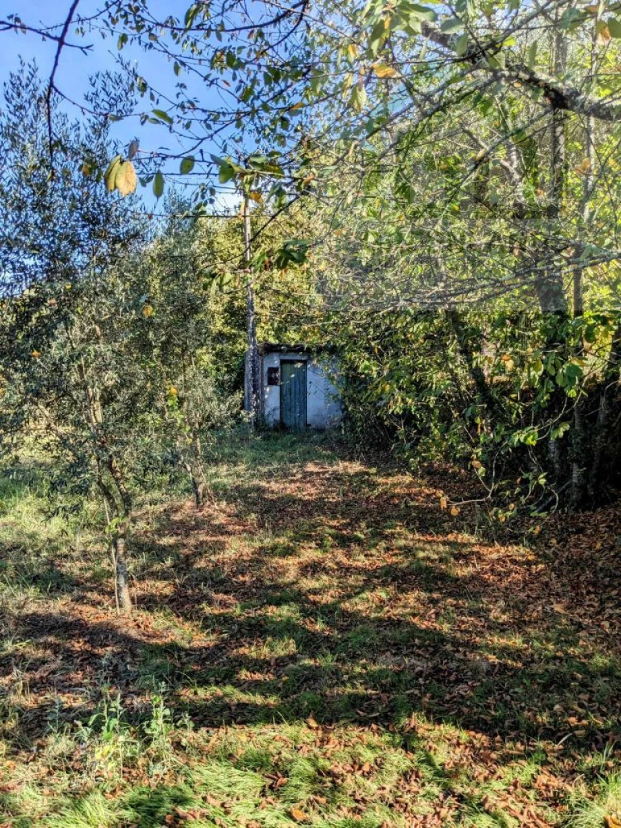 Terreno para Venda em Povoa de Midões Foto 3