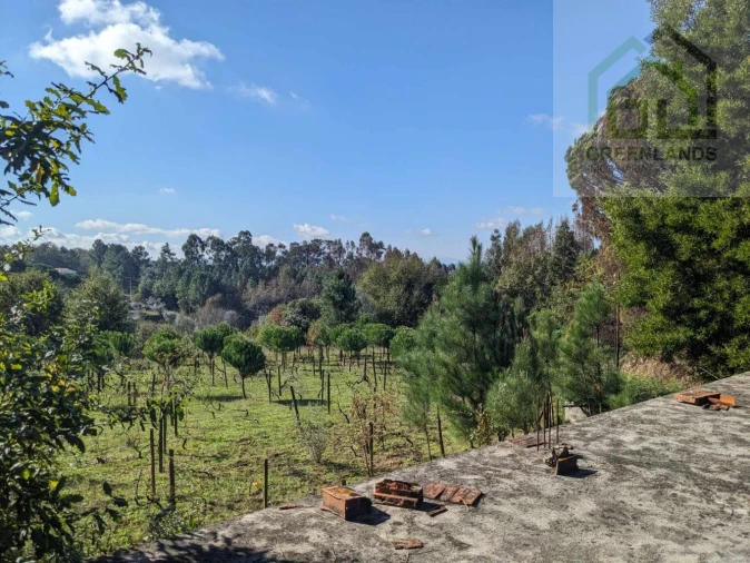 Terreno para Venda em Povoa de Midões Foto 14