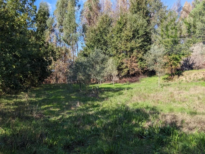 Terreno para Venda em Povoa de Midões Foto 25