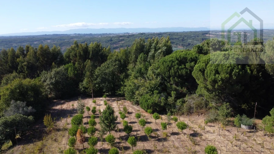 Terreno para Venda em Povoa de Midões Foto 7