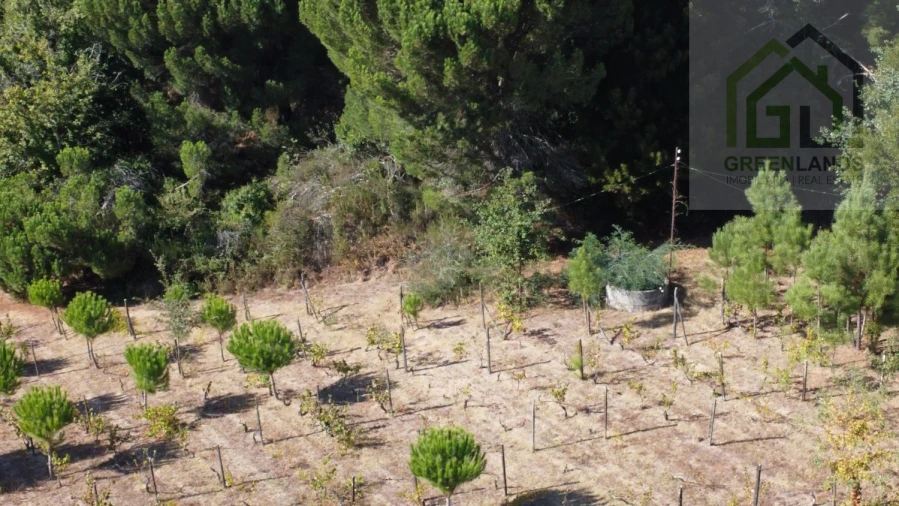 Terreno para Venda em Povoa de Midões Foto 6