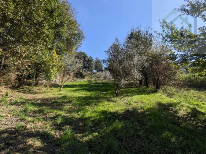 Terreno para Venda em Povoa de Midões Foto 22