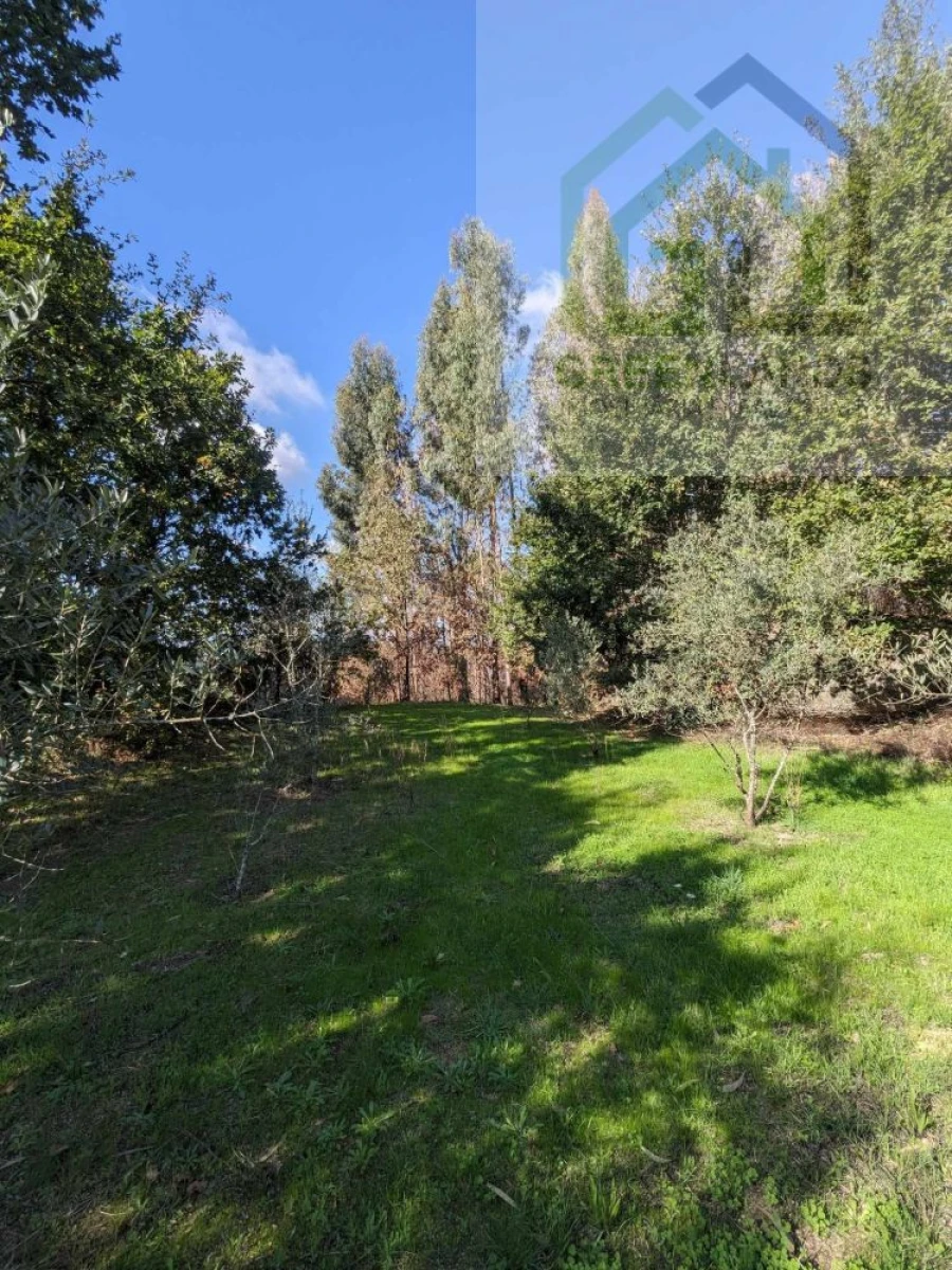 Terreno para Venda em Povoa de Midões Foto 23