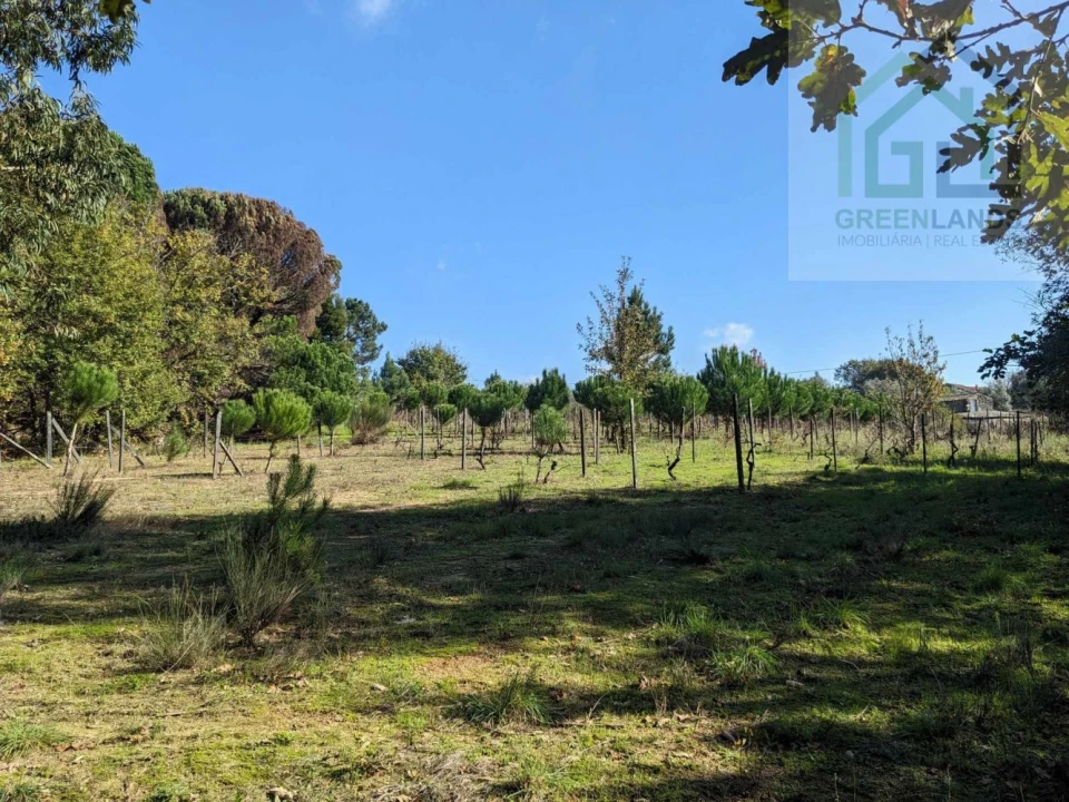 Terreno para Venda em Povoa de Midões Foto 19