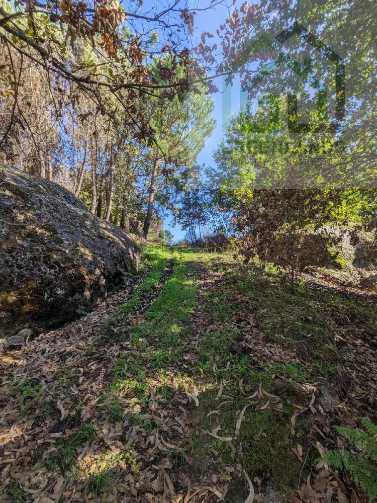 Terreno para Venda em Povoa de Midões Foto 20