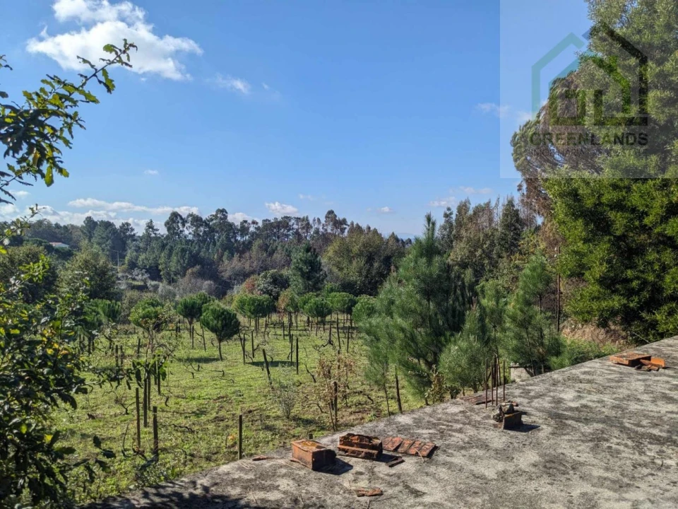 Terreno para Venda em Povoa de Midões Foto 14