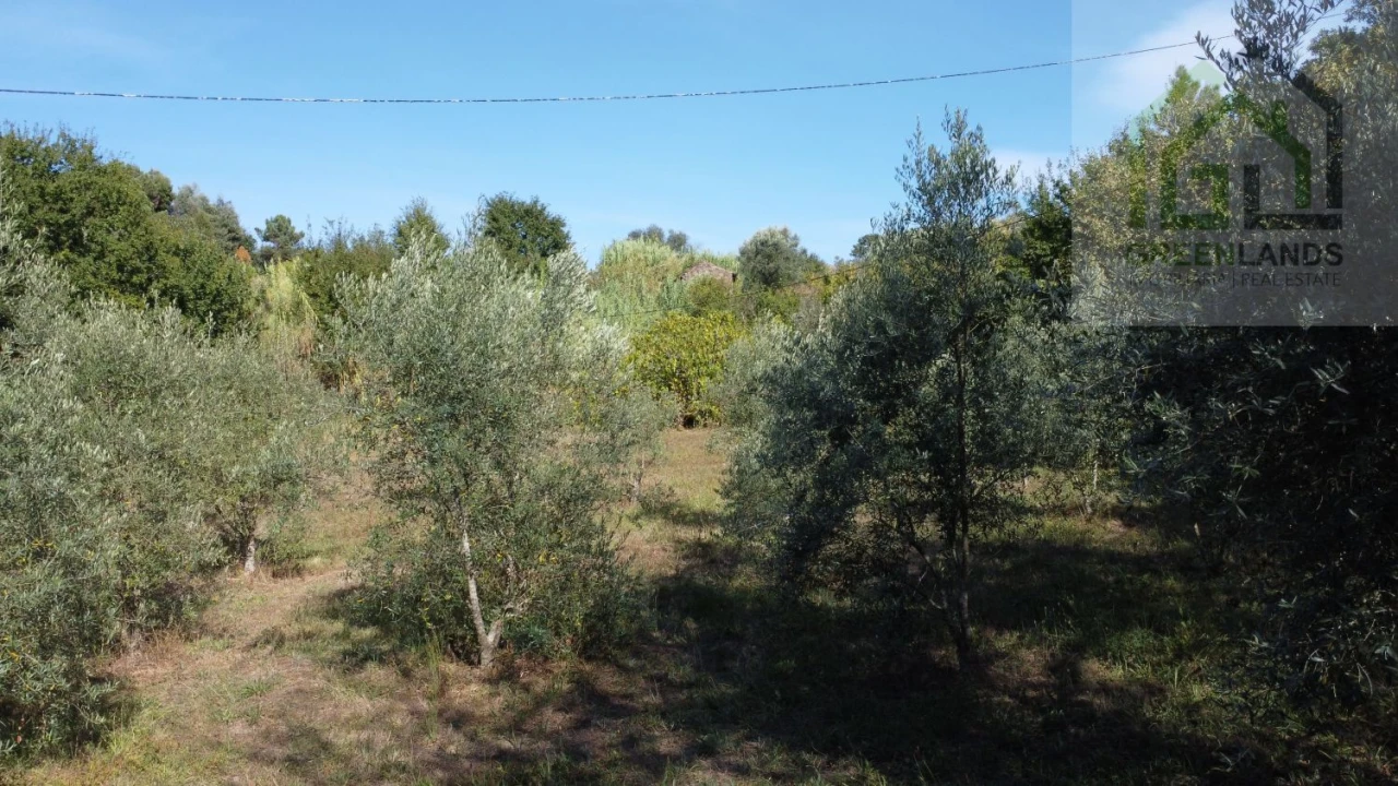 Terreno para Venda em Povoa de Midões Foto 5