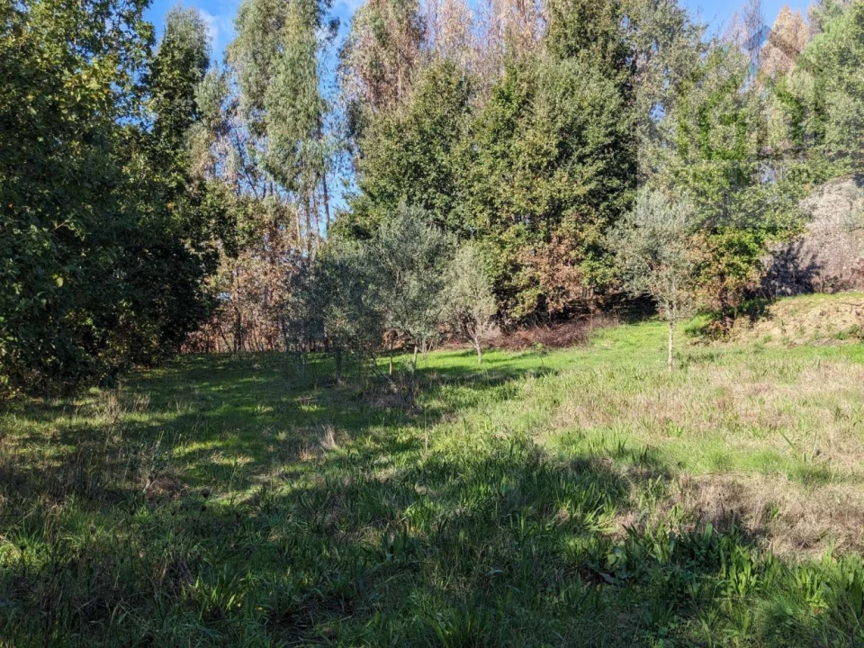 Terreno para Venda em Povoa de Midões Foto 25